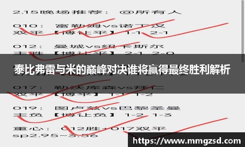 泰比弗雷与米的巅峰对决谁将赢得最终胜利解析